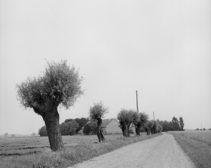 Lomma - 1954
