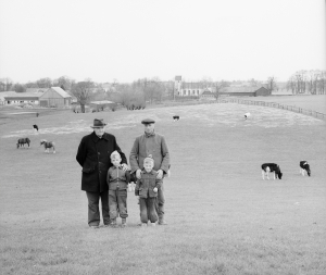 Torn - 1954