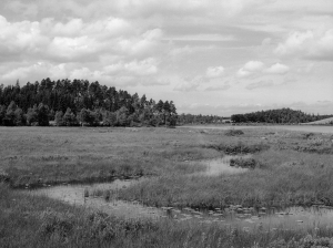 Vittsjö - 1954